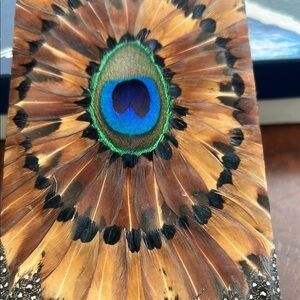 Vintage Lee Sands Peacock  Feather  Eye Glass  Case